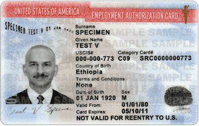 Employment Authorization Employment Authorization
