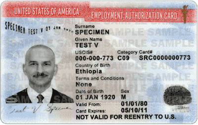 Employment Authorization