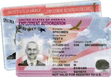 Employment Authorization Card | Form I-765 | Fileright