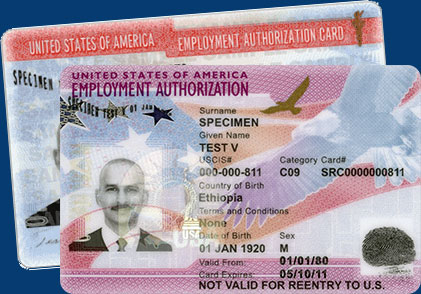 Employment Authorization